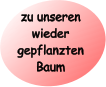 zu unseren wieder gepflanzten Baum