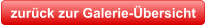 zurück zur Galerie-Übersicht