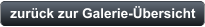 zurück zur Galerie-Übersicht