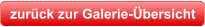 zurück zur Galerie-Übersicht